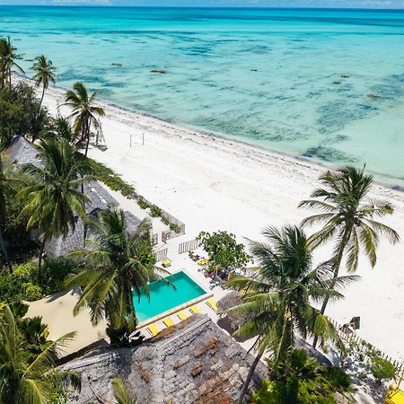 Pili Pili Palm Beach Jambiani (Zanzibar) Exterior foto