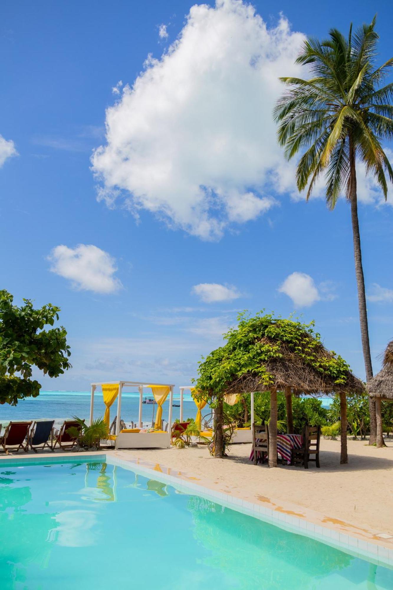 Pili Pili Palm Beach Jambiani (Zanzibar) Exterior foto
